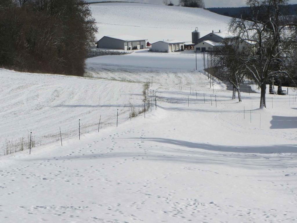 Ferienwohnung Am Weinberg Ostrach Zewnętrze zdjęcie