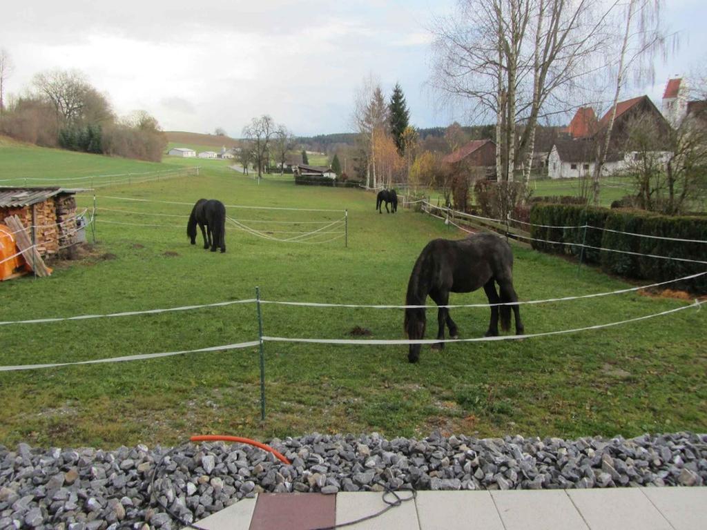 Ferienwohnung Am Weinberg Ostrach Zewnętrze zdjęcie